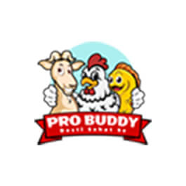 probuddy.biz